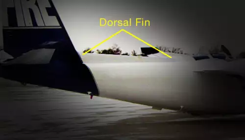 CUSTOM KITS OFFER CHOICE OF IMPROVED DORSAL FIN - Ontic News