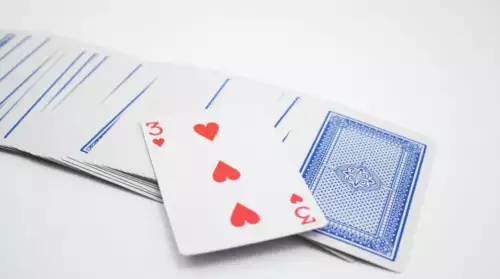 INSURANCE PERSPECTIVE: Playing Aviation Insurance Poker With a Deck of 21? - Ontic News